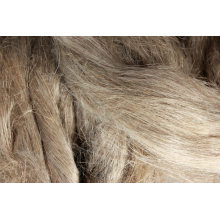 Nature Hemp Fiber After Carding-Long